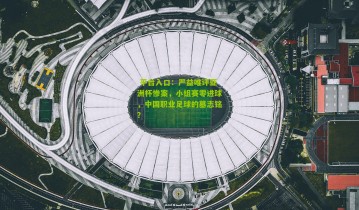  平台入口：严益唯评亚洲杯惨案，小组赛零进球，中国职业足球的墓志铭？